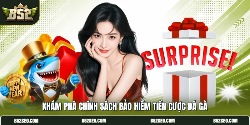 Khám phá chính sách bảo hiểm tiền cược đá gà