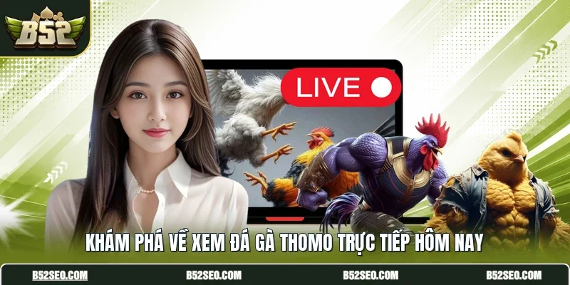 Khám phá về xem đá gà Thomo trực tiếp hôm nay