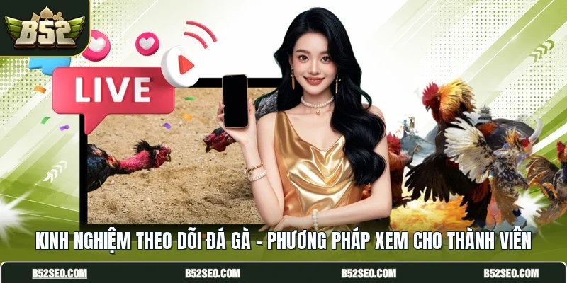Kinh Nghiệm Theo Dõi Đá Gà - Phương Pháp Xem Cho Thành Viên