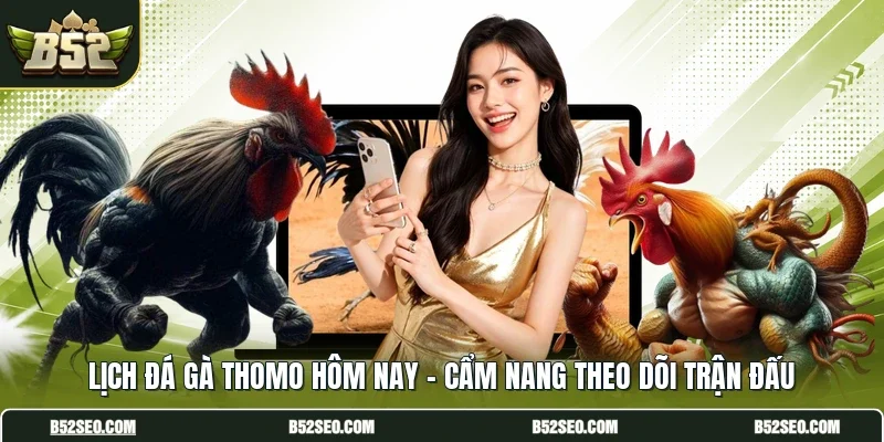 Lịch Đá Gà Thomo Hôm Nay - Cẩm Nang Theo Dõi Trận Đấu