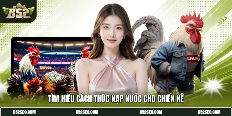 Tìm hiểu cách thức nạp nước cho chiến kê