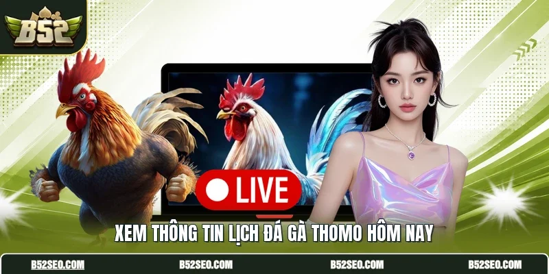 Xem thông tin lịch đá gà Thomo hôm nay